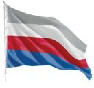 Bandera Liceo Homerico